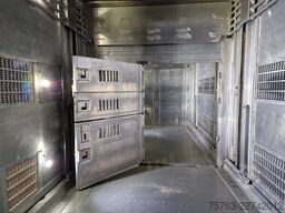 Volvo FH 13.500 XL 6x2 - Pezzaioli livestock 3 deck +...