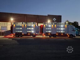 Volvo FH 13.500 XL 6x2 - Pezzaioli livestock 3 deck +...