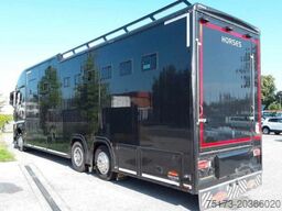 MERCEDES-BENZ Actros Böckmann  Big Equipe Horses