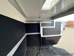 RENAULT Master STX Haras 5 Sitzer