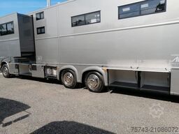 MERCEDES-BENZ Actros 2651 AKX  Pop-Out,  6 Pferde