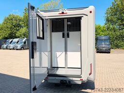 RENAULT Master STX 5 Sitzer Haras ex. Lang Automatik