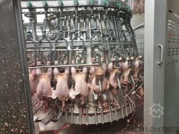 MEYN STORK 15 000 birds/h evisceration line