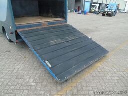 MAN 10 .150 + 2-3 HORSES + MANUAL