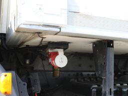 Daf LF 250 E6  Carrier Supra Strom Tür + LBW Kamera