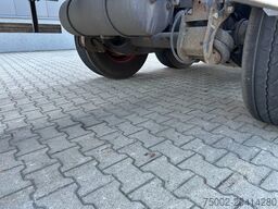 Burg 20FT ADR (EX/II, EX/III, FL, AT), Leergewicht: ...