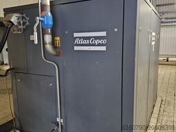 Atlas Copco GA160 (SOK-1) GA160