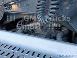 DAF XF 460 / SSC / Mega / German