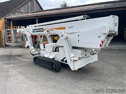 Teupen Leo 30 T (30m)