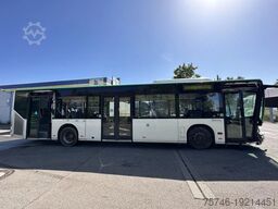 Mercedes-Benz O 530 Citaro Klima 299 PS Unfallfahrzeug!