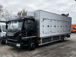 IVECO EC ML120EL22 6,65mEISWAGEN ThermoKingV500MAX ACC
