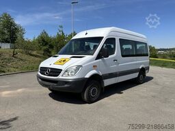 Mercedes-Benz 315 CDI 4x4 20 Plätze / Swiss-Vehicle