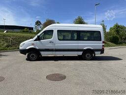 Mercedes-Benz 315 CDI 4x4 20 Plätze / Swiss-Vehicle
