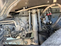 RENAULT T480 High / Retarder / Bycool / Anhänger vorhand