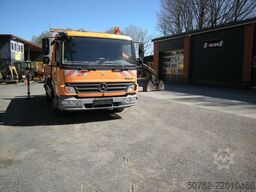 MERCEDES-BENZ MB 918 mit Terex TLC 65.2