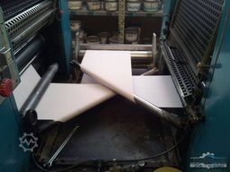 Edelmann Junior Print DR2450