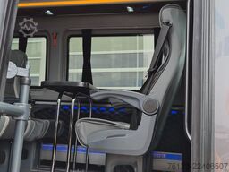 MERCEDES-BENZ 319 StockSprinter VIP Shuttle 9 SS  Panoramadach