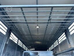 SCANIA G380 BL 4x2 1.Stock Menke-Janzen Viehw. *UNFALL*