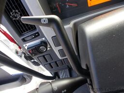 Volvo FE250