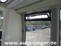 Fiat Ducato Dietrich Vehiculos City 21A Bus