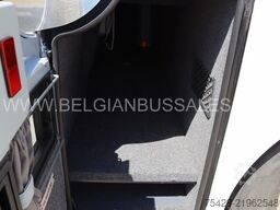 Van Hool TX15 ACRON / Full Options / Glassdach