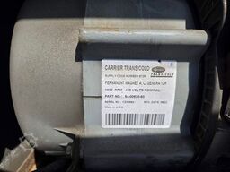 SCHMITZ CARGOBULL Tiefkühler, 3 Kammern, Lenkachse, Carrier Vector