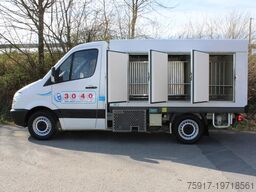 MERCEDES-BENZ Sprinter 310 ColdCar 3+3 Türen  -33°C