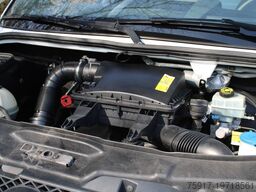 MERCEDES-BENZ Sprinter 310 ColdCar 3+3 Türen  -33°C