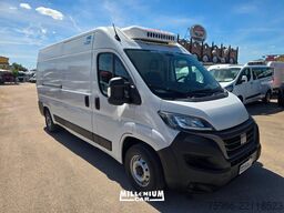 FIAT DUCATO MULTIJET 2023 FRIGORIFERO FRC