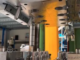 Locostréa Locostréa Locostréa