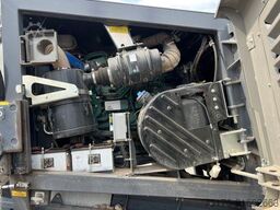 Komplet Krokodile / nur 76h! / 2022 / Schredder