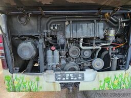 MERCEDES-BENZ Citaro O530 LE, Gurten, Armlehnen, Gardinen