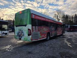 MERCEDES-BENZ Citaro O530 LE, Gurten, Armlehnen, Gardinen
