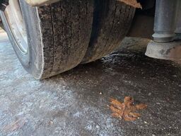 MERCEDES-BENZ Citaro O530 LE, Gurten, Armlehnen, Gardinen