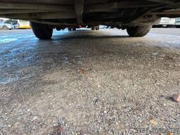 MERCEDES-BENZ Citaro O530 LE, Gurten, Armlehnen, Gardinen