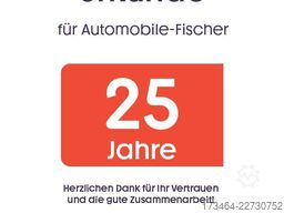 VW T6 Transporter Kasten Allrad SHZ Sortimo 3 Sitze