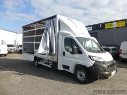 PEUGEOT Boxer Pritsche Plane Camera 132Kw