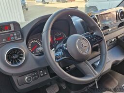 MERCEDES-BENZ 519 und 517 Glasdach XXL  20 Sitze Stock