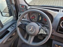 MERCEDES-BENZ 519 und 517 Glasdach XXL  20 Sitze Stock