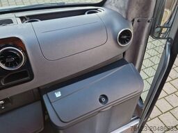 MERCEDES-BENZ 519 und 517 Glasdach XXL 20 Sitze Stock