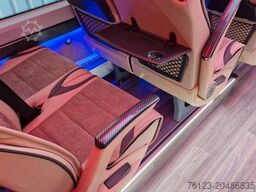 MERCEDES-BENZ 519 und 517 Glasdach XXL 20 Sitze Stock