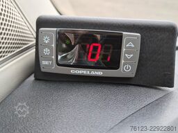 IVECO Daily C 65 Lagerfahrzeug Sprinter519 Sonderpreis