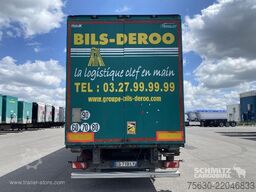 Trouillet Semitrailer Dryfreight Standard