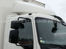 VOLVO FL 250 Koffer Rolltor LBW Euro 6