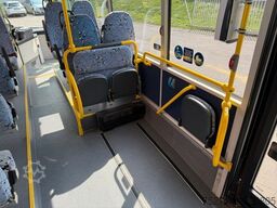 MAN Lion's City A44 NL 363 || AC , 2 gleiche Fahrz.