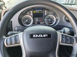 DAF WAB