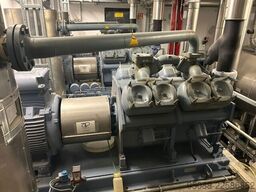 GEA Grasso Ammonia 930 kW