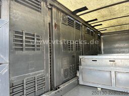 DAF XF 480 LL 6x2 3.Stock Menke Viehwagen m. Hubdach