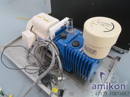 Jeol JSM-6490 Bruker XFlash Detektor