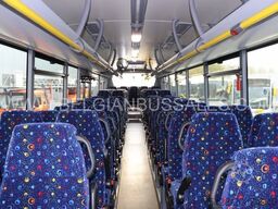 Iveco Crossway Line 13m NF line